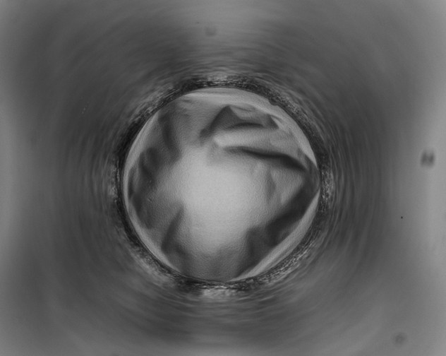 X0000099570470200806061607