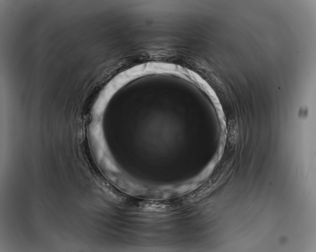 X0000099570471200806061607