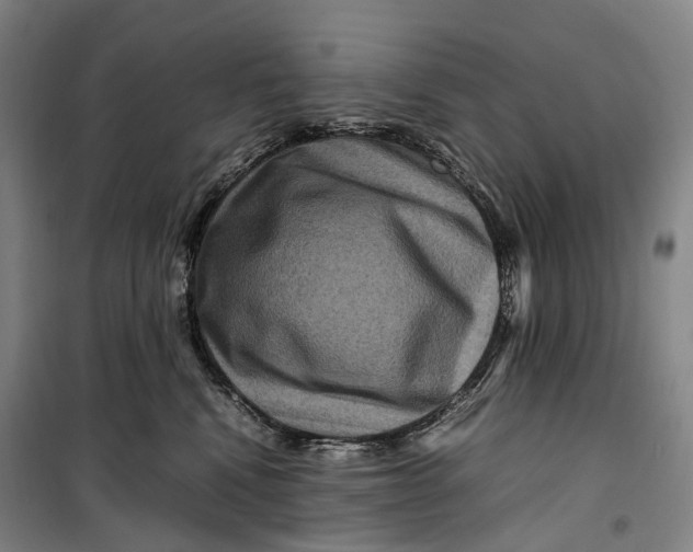 X0000099570472200806061607