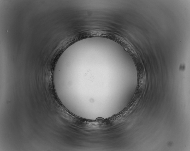 X0000099570473200806061607