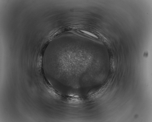 X0000099570475200806061607