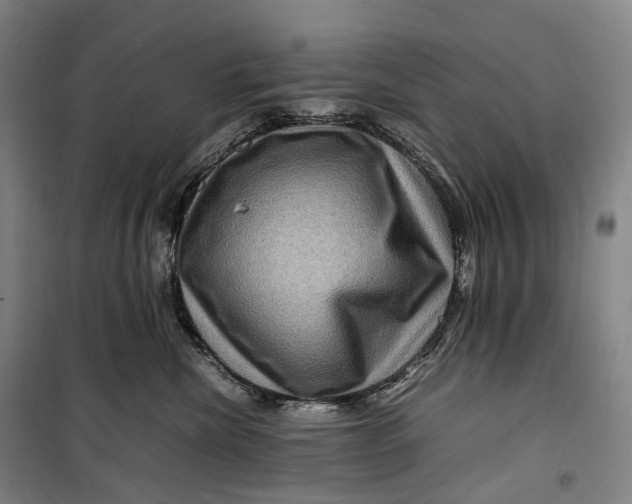 X0000099570476200806061607