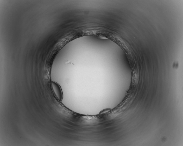 X0000099570477200806061607