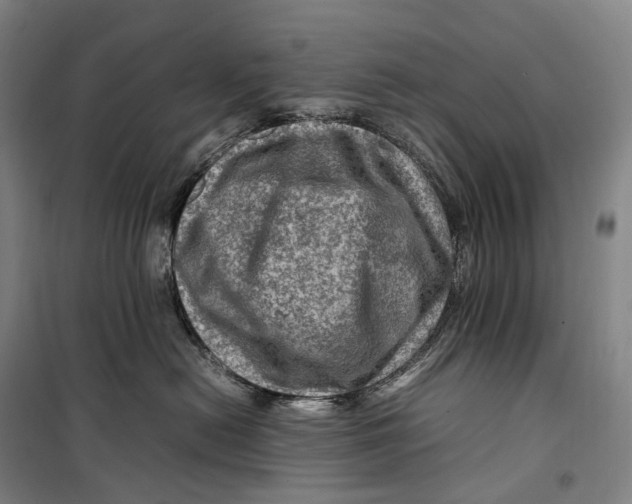 X0000099570478200806061607