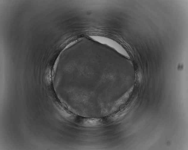 X0000099570479200806061607