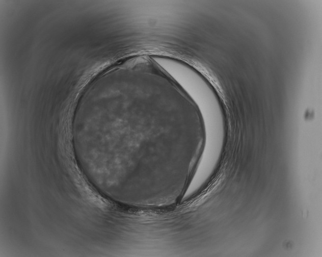 X0000099570481200806061606
