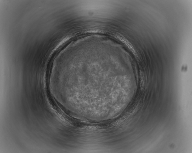 X0000099570482200806061606