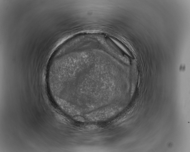 X0000099570483200806061606