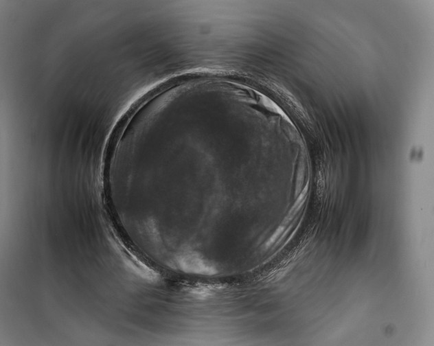 X0000099570484200806061606