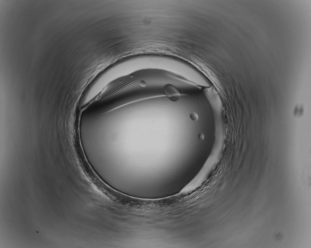 X0000099570485200806061606