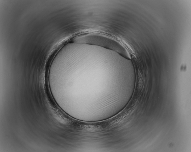 X0000099570486200806061606