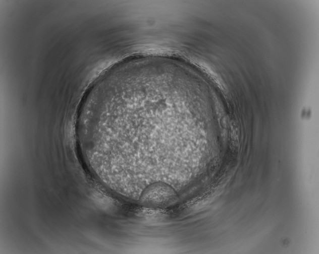 X0000099570487200806061606