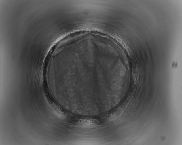 X0000099570488200806061606