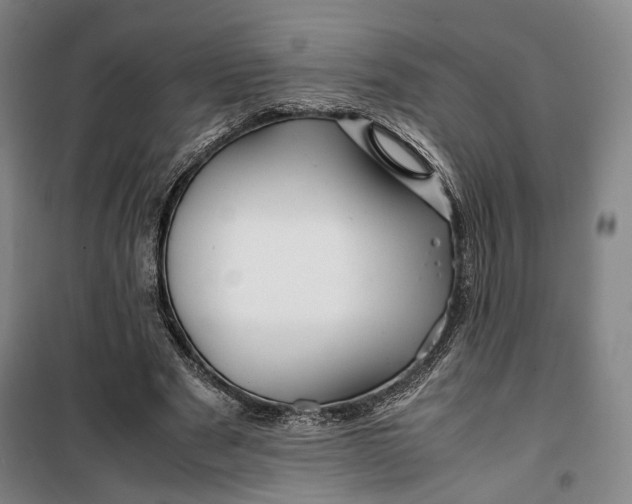 X0000099570489200806061606