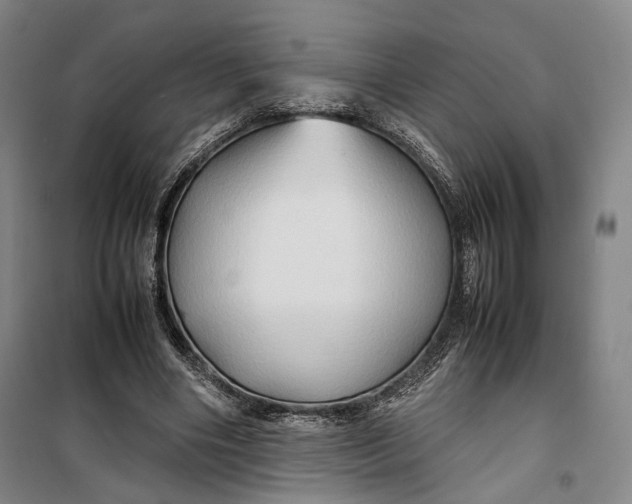 X0000099570490200806061606