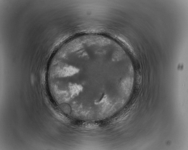 X0000099570491200806061606
