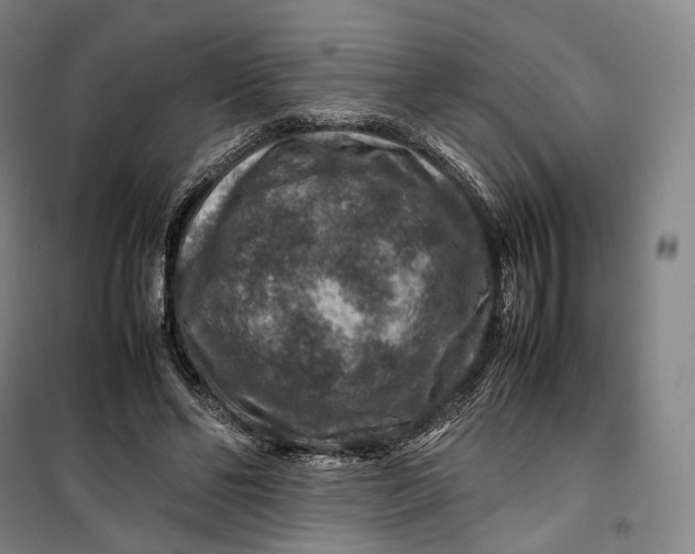 X0000099570494200806061606