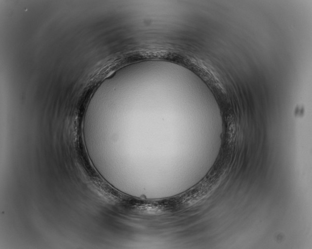 X0000099570498200806061606