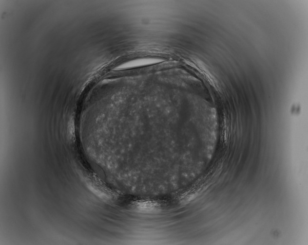 X0000099570500200806061606