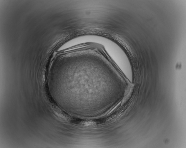 X0000099570501200806061606