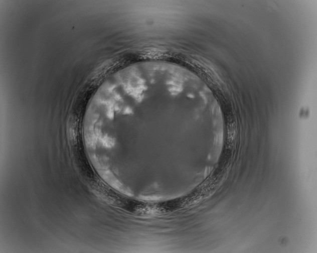 X0000099570503200806061606