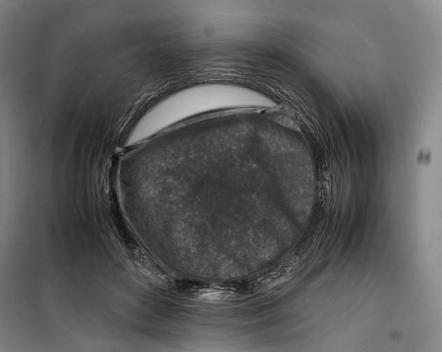 X0000099570504200806061606