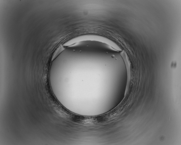 X0000099570505200806061606