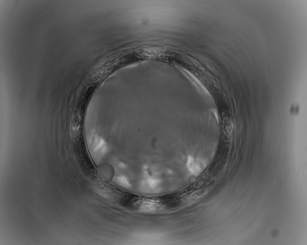 X0000099570507200806061606