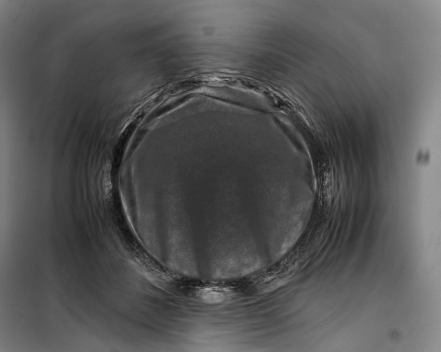 X0000099570508200806061606