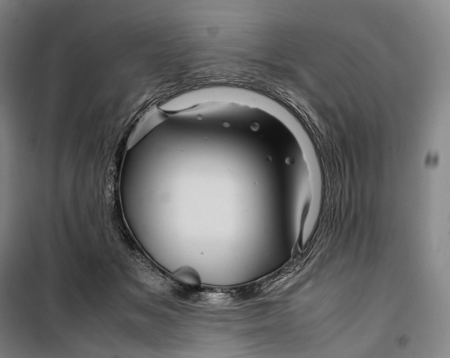 X0000099570509200806061606