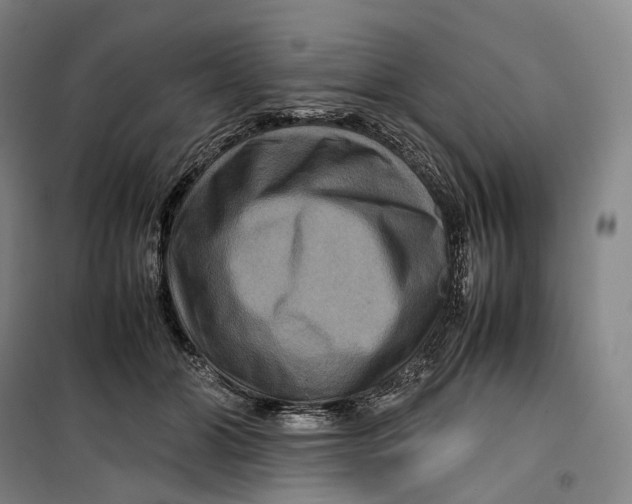 X0000099570510200806061606