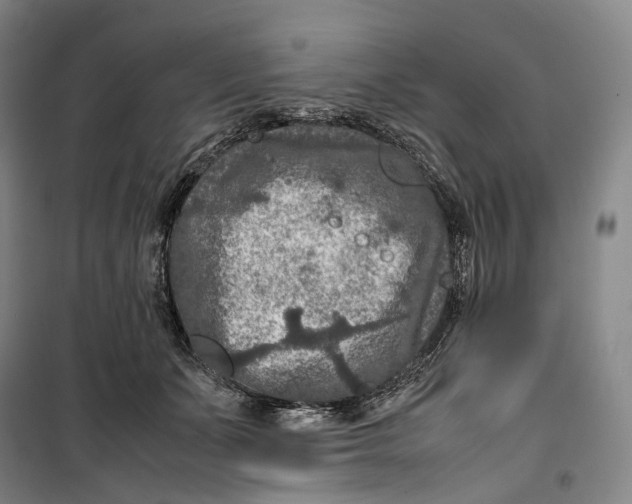 X0000099570511200806061606