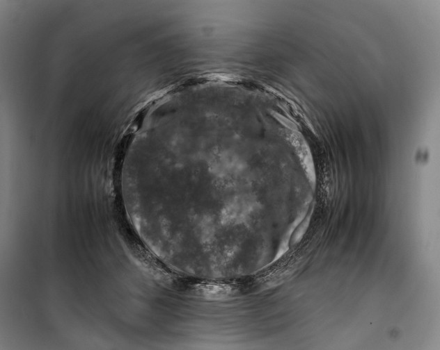 X0000099570512200806061606