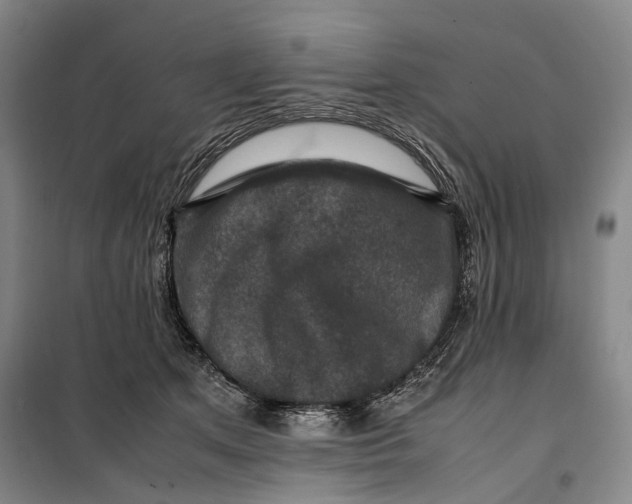 X0000099570513200806061606
