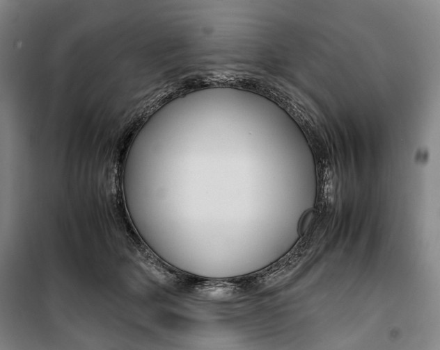 X0000099570514200806061606