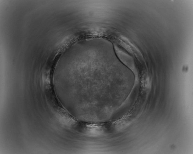 X0000099570516200806061606