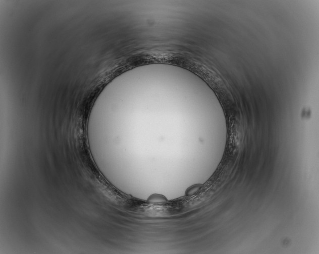 X0000099570518200806061606