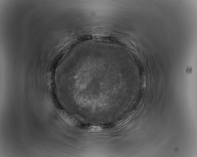 X0000099570519200806061606