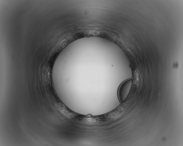 X0000099570522200806061606