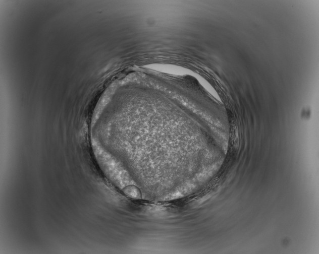 X0000099570523200806061606