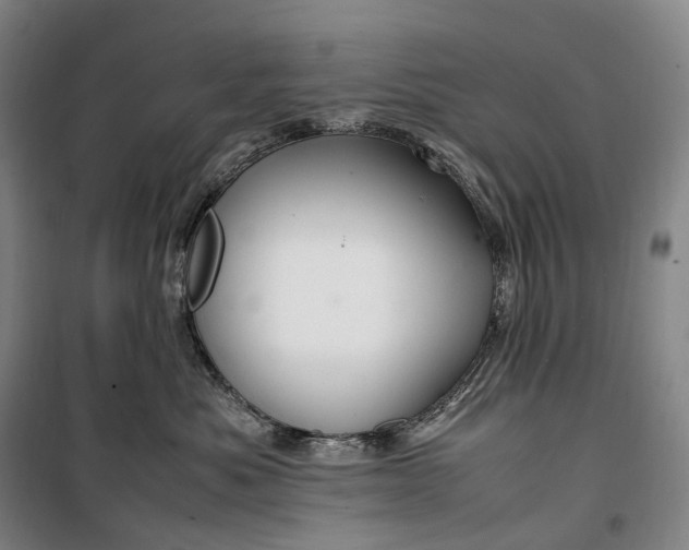 X0000099570525200806061606