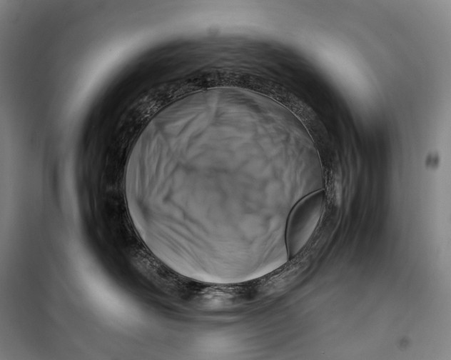 X0000099570526200806061606