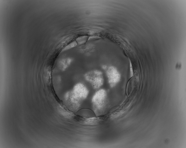 X0000099570527200806061606