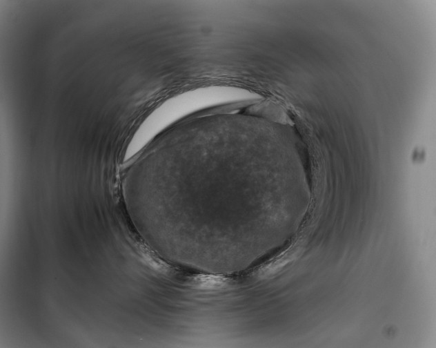 X0000099570528200806061606
