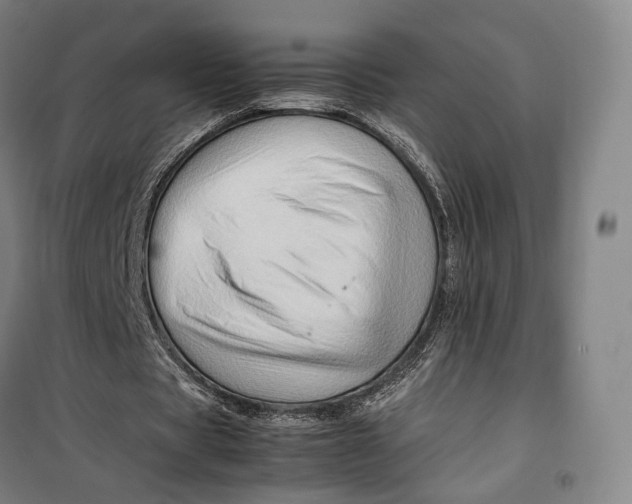 X0000099570529200806061605