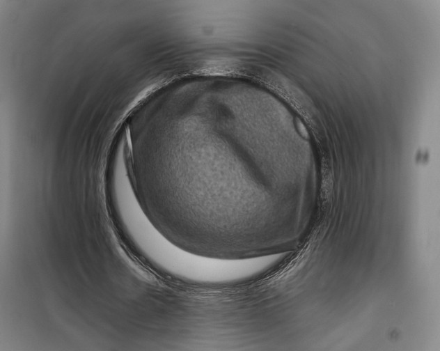 X0000099570530200806061605