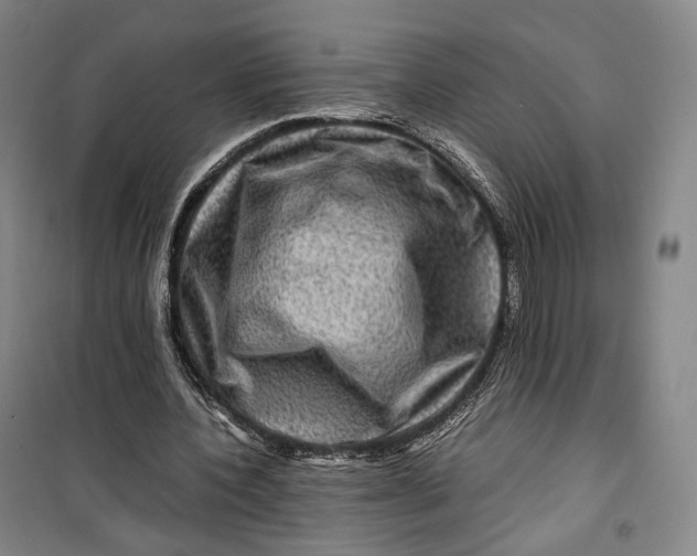 X0000099570532200806061605