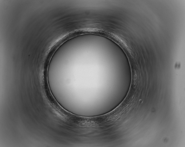 X0000099570535200806061605