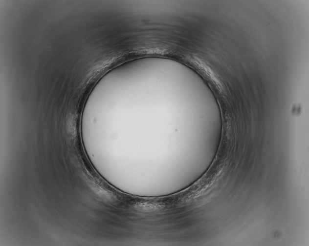 X0000099570537200806061605