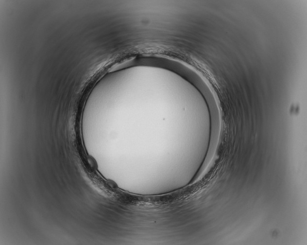 X0000099570538200806061605